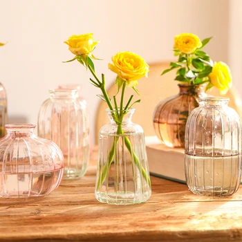 3pcs/set Exclusivo Sortidas Arte de Decoração de Vasos Ornamento Transparente de Vidro Colorido, o Minimalismo Estilo Simples Estética de Jardinagem Suprimentos 2