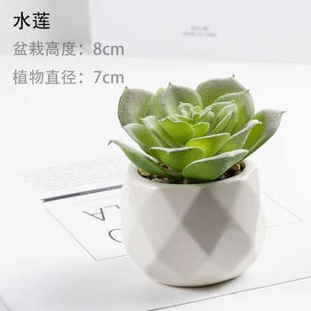 Simulado suculenta planta Agave e peônia brocade ornamentais bonsai Cor Artificial vasos de flores 2