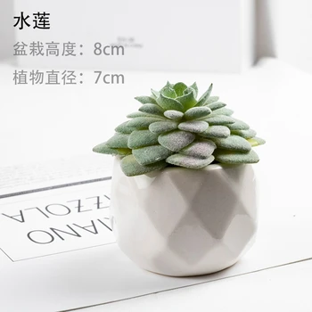 Simulado suculenta planta Agave e peônia brocade ornamentais bonsai Cor Artificial vasos de flores 3