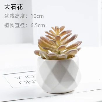 Simulado suculenta planta Agave e peônia brocade ornamentais bonsai Cor Artificial vasos de flores 4